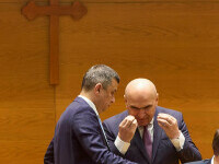 sorin grindeanu ilie bolojan