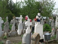 cruci cimitir