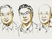 Joel Mokyr, Philippe Aghion şi Peter Howitt