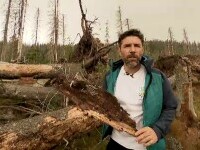 uscati de nepasare alex dima