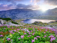 Parcul Național Retezat