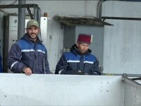 Surse: Autoritățile iau în calcul să reducă numărul muncitorilor non-UE care ajung în România. Rata șomajului, spre 6%