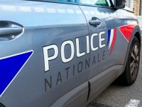 Mai mulți hoți de cai au fost prinși în Franța și România. Suspecții reținuți riscă pedepse de până la 15 ani de închisoare