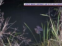 Doi copii din Vaslui, înecați în mod misterios într-o baltă de la marginea satului. Se jucau în drum și au dispărut brusc