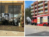 masini arse voluntari