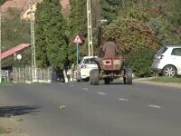 Un bărbat din Mureș a ucis un câine pe care i l-a adus o vecină într-un sac. „Am auzit că la toți vecinii le mânca puii”
