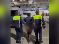 Violator cimitir Brăila