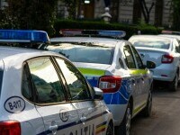 Cai furați din Franța au fost găsiți în România. La ce erau folosiți