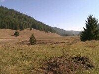 Cuplu de tineri descoperiți împușcați în mașină, lângă lacul Frumoasa. Asomatorul care le-a luat viața, găsit lângă ei