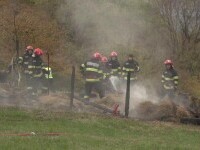 incendiu mort baicoi