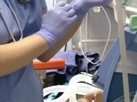 Lege aprobată în Senat. Sancţiuni pentru medicii care răspândesc informatii false, ce pot pune în pericol sănătatea publică