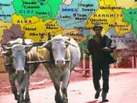 Haos administrativ: Peste o sută de orașe sunt, de fapt, comune iar sute de comune sunt, legal, sate - Raport