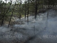 Buzau: un incendiu le-a dat batai de cap pompierilor