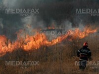 Pericol de explozie la Dambovita: mai multe hectare de vegetatie au luat foc