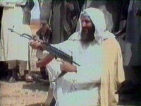 Reactiile adeptilor Jihadului si admiratorilor lui bin Laden pe forumuri