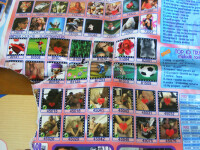 Vesmant porno pentru manuale de clasa a treia!