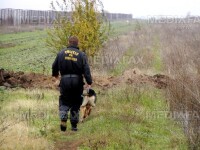 Imigrant ilegal din Republica Moldova, prins de politistii de frontiera