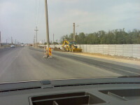 Cele mai bune fotografii trimise de useri