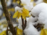 Iarna in toate regula la munte!