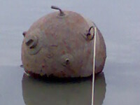 Bomba activa in Dunare!