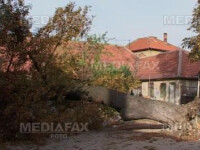 Un copac a cazut peste o casa