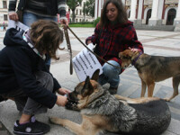 Protestul al stapanilor de caini in capitala bulgara
