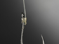 Si-a infipt carlige in spate... pentru o cauza nobila!