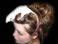 Accesorii grotesti! Soareci impaiati, pe post de cordeluta si cercei!