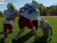 Culmea sportului: sa joci fotbal cu mainile!