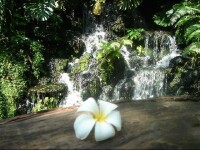 168 de cupluri au spus \