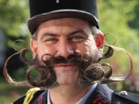 Campionatul de mustati si barbi! Vezi cum arata cei mai tari participanti!