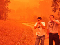 Furtuna de nisip la Sydney! Imagini incredibile! GALERIE FOTO