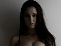 Un iepuras Playboy a incercat sa deschida usa avionului in timpul zborului