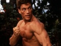 van damme