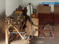 Un barbat din Satu Mare a gasit in garaj un piton de 3 metri. Explicatia proprietarului reptilei
