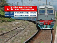 despagubire tren