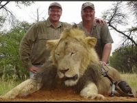 Dentistul american care l-a ucis pe leul Cecil in Zimbabwe s-a intors la cabinetul sau. Cum a fost asteptat