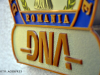 sigla DNA