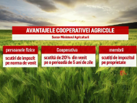 cooperative agricole