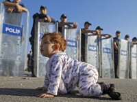 Imaginea zilei: un copilas sirian, in fata cordonului de politie, in Turcia. Sute de refugiati, blocati la granita cu Grecia