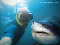 Mai multi oameni au murit in 2015 din cauza selfie-urilor decat a rechinilor. Masura luata de Rusia