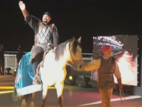 Steven Seagal, la Jocurile mondiale ale nomazilor din Karghastan. Competitiile la care au luat parte barbatii