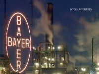 fabrica Bayer