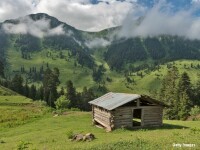 vreme placuta de toamna