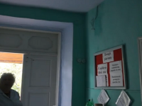 Asistentă din Moldova, atacată de şerpi în cabinetul medical. 