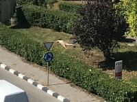 O tânără a fost prinsă făcând plajă, dezbrăcată, în faţa unei instituţii din Giurgiu