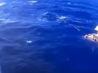 Cum a supravieţuit o tânără într-o şalupă în Marea Egee, fără apă şi mâncare, timp de 2 zile
