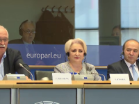 viorica dancila