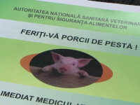 pesta porcina, restrictii, carne porc, romania, sfanta parascheva, pacheta