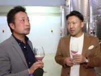 Doi japonezi învață la Iași să facă vinuri ca în România. ”E aromat, sexy și merge cu sushi”